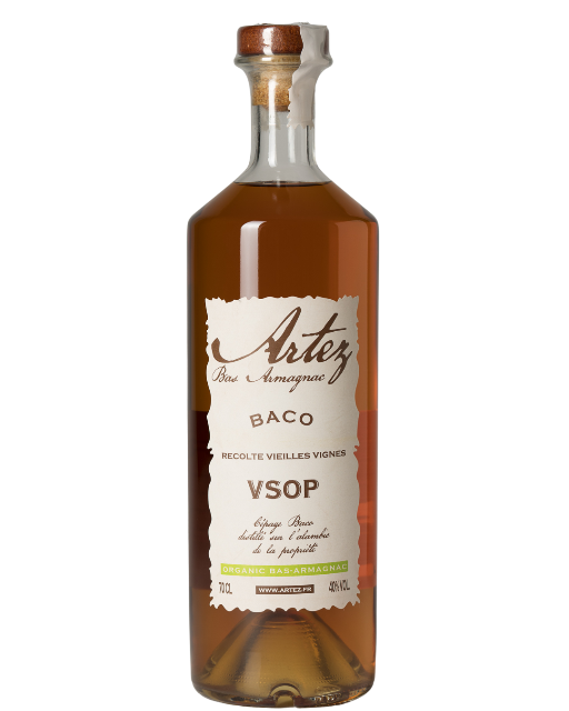 le caractere brut du cepage baco